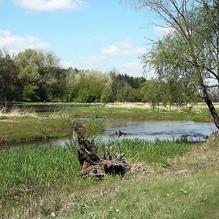 Εξοχικό σπίτι Forest River With Fireplace And Billard